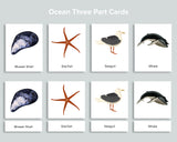 Ocean Activity Pack