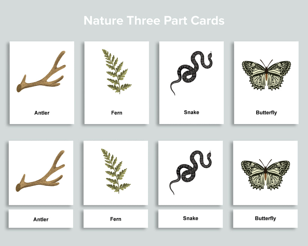 Editable Nature Flashcards (Three Part Cards)