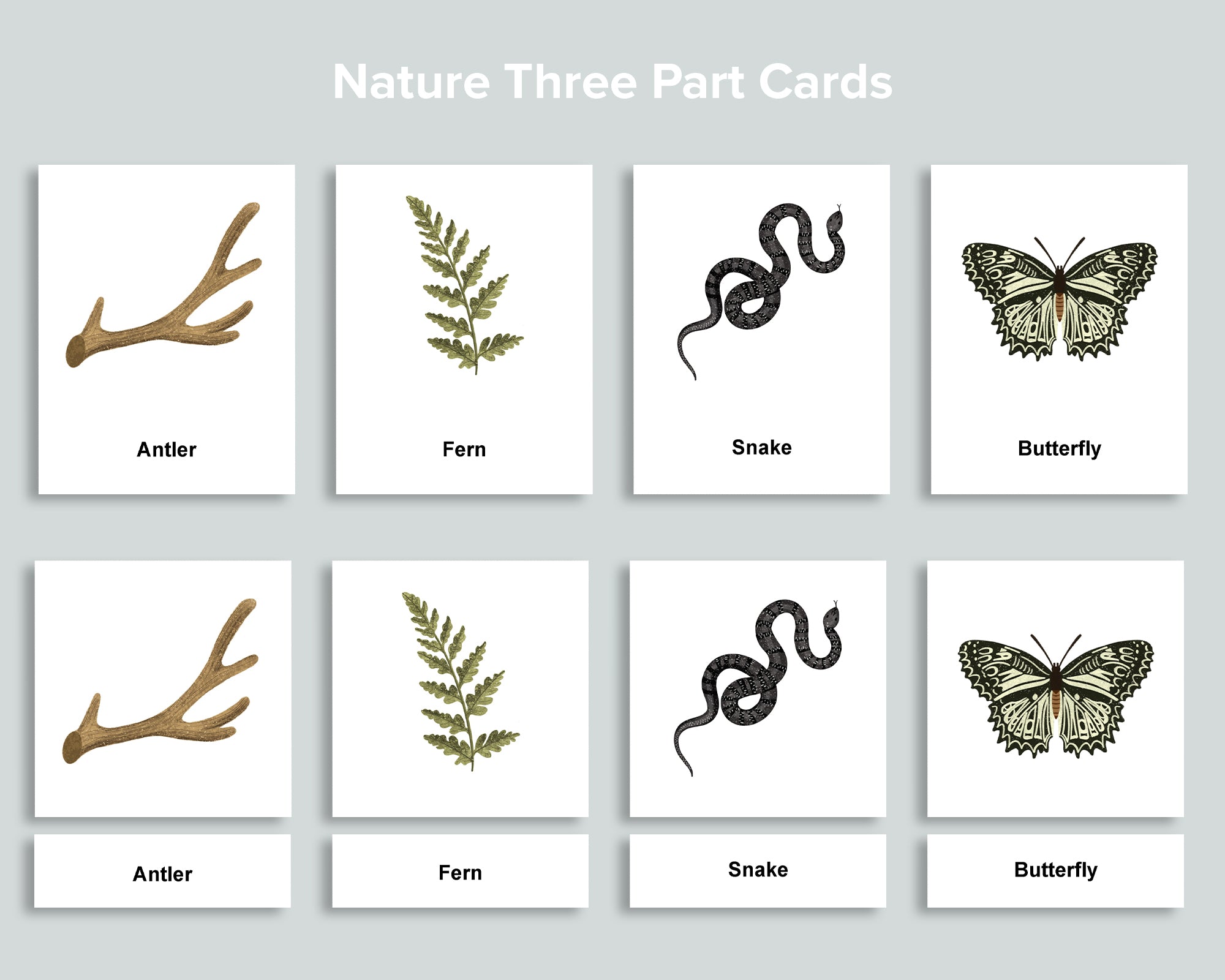 Editable Nature Flashcards (Three Part Cards)
