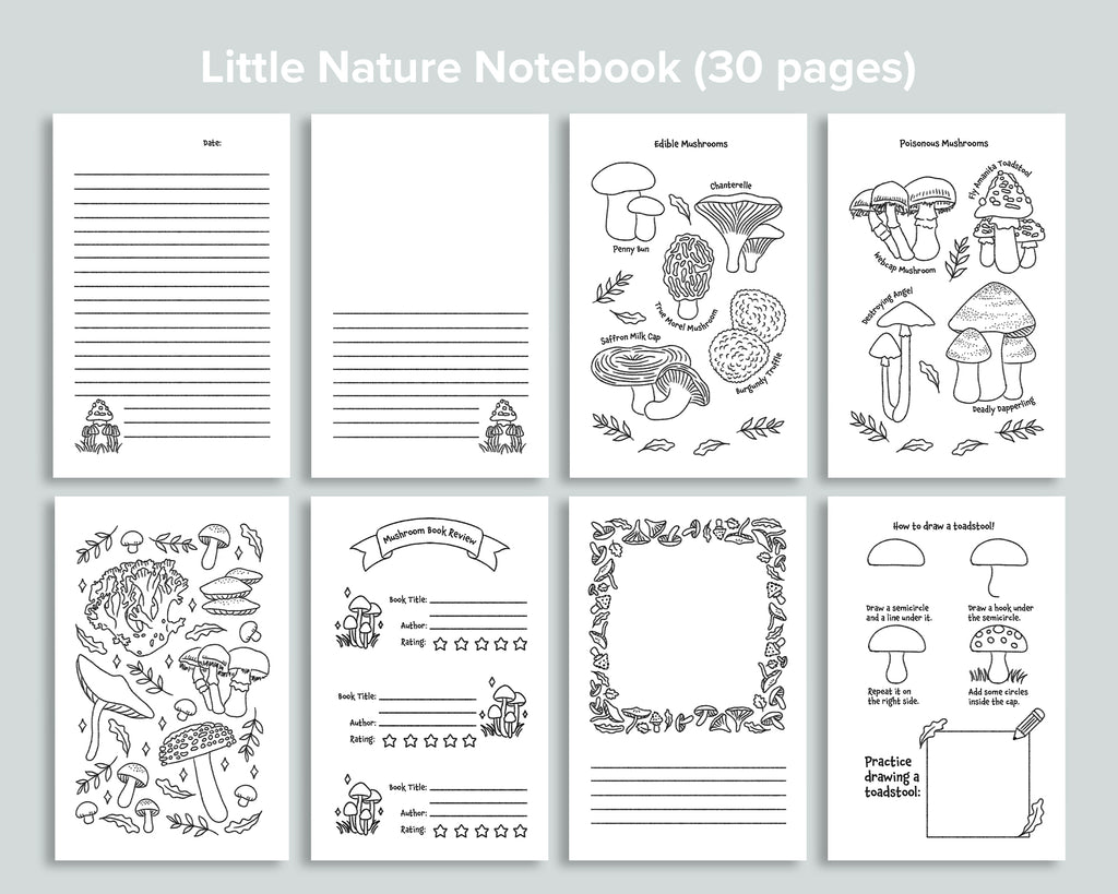 Mushroom Little Nature Notebook