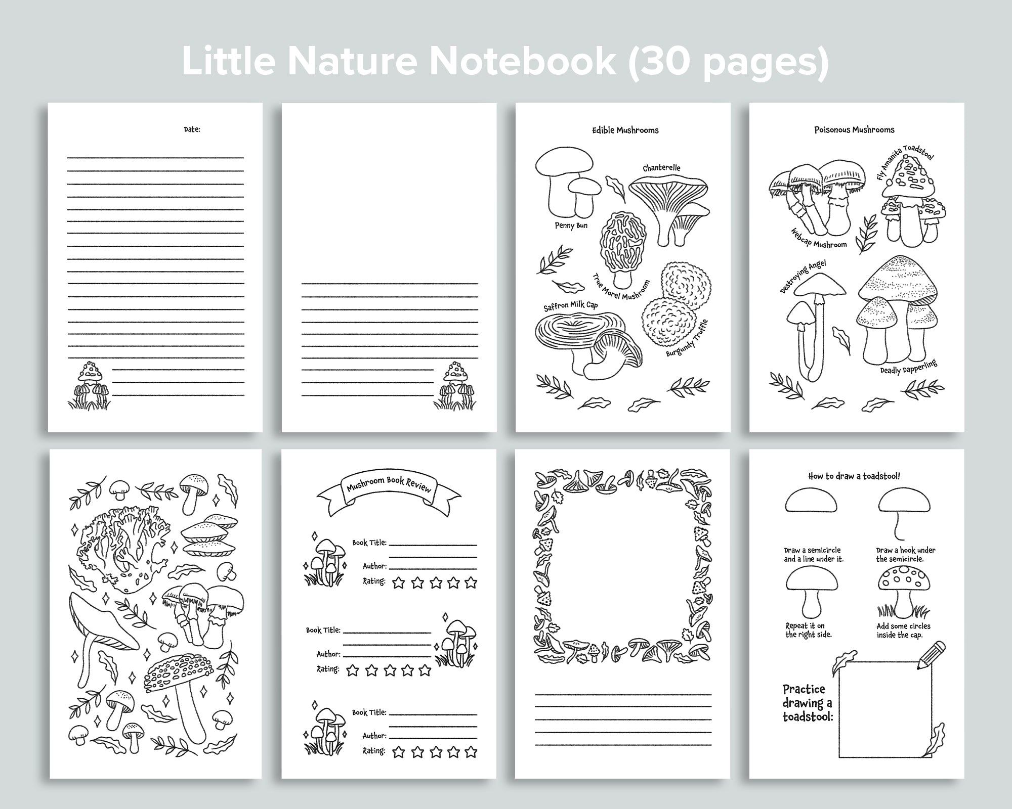 Mushroom Little Nature Notebook
