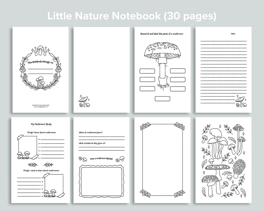 Mushroom Little Nature Notebook