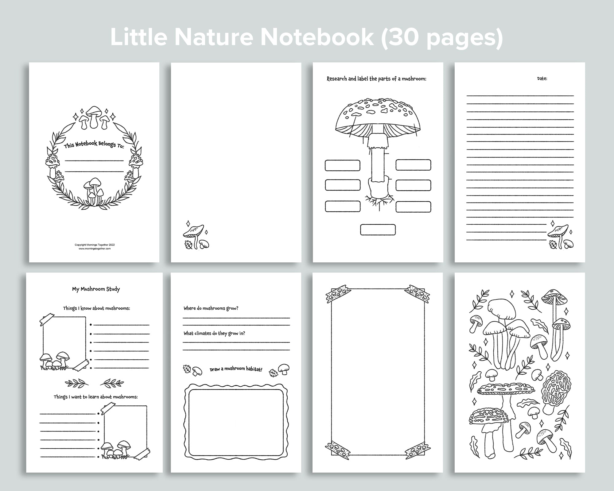 Mushroom Little Nature Notebook