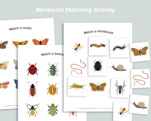 Minibeast Matching Activity