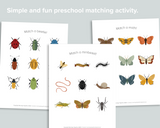 Minibeast Matching Activity