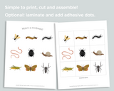 Minibeast Matching Activity