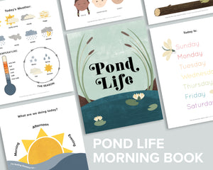 Morning Book, Pond Life