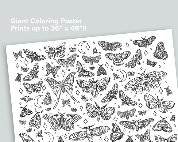 Giant Moth Coloring Poster