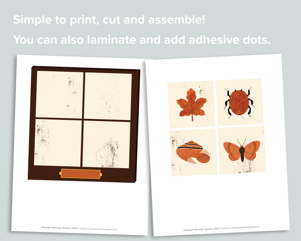 Preschool Nature Color Match
