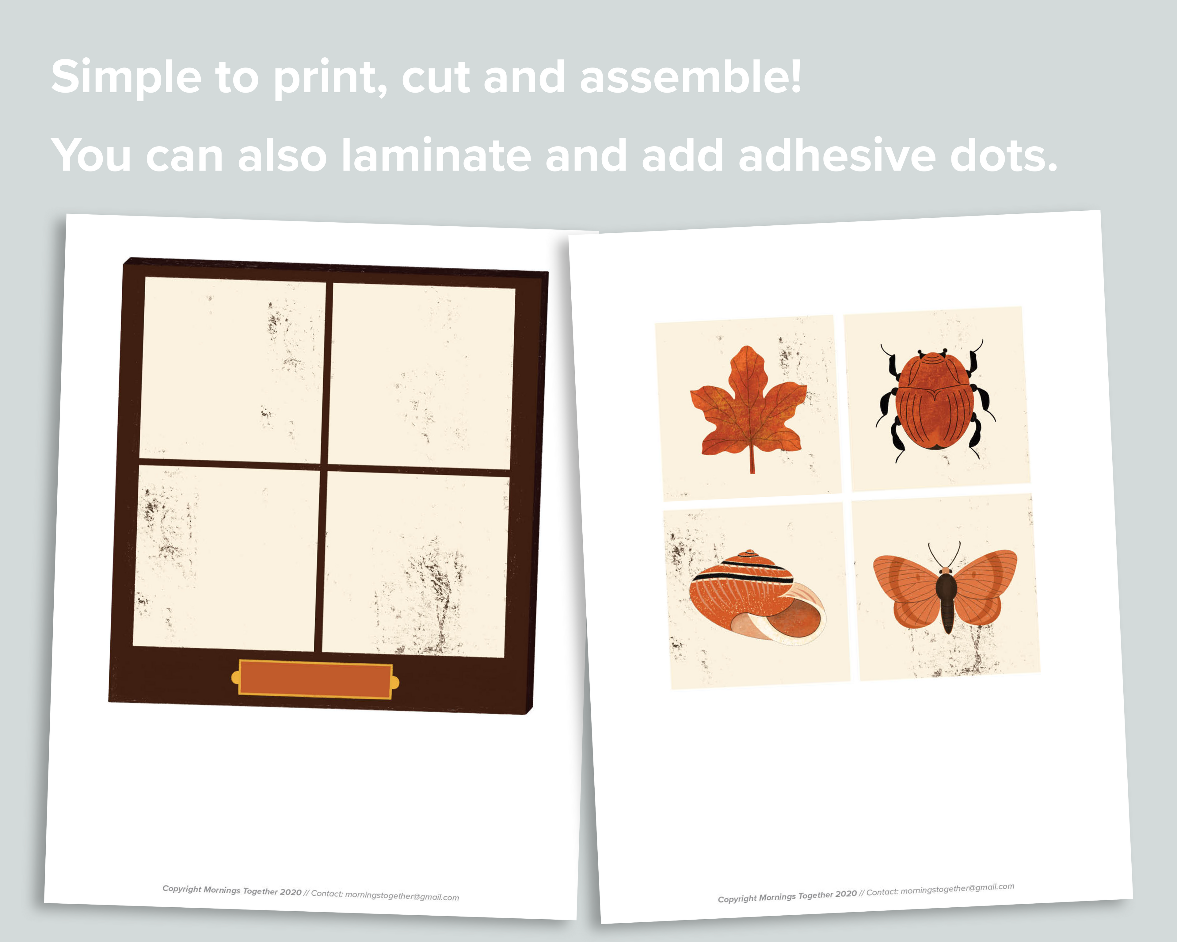 Preschool Nature Color Match