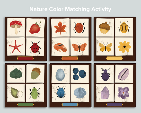Preschool Nature Color Match