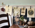 Natural Curiosities Collection