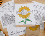 Sunflower Letter Pack
