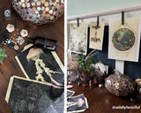 Natural Curiosities Collection
