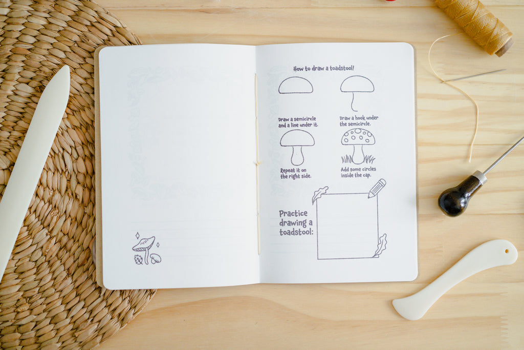 Mushroom Little Nature Notebook