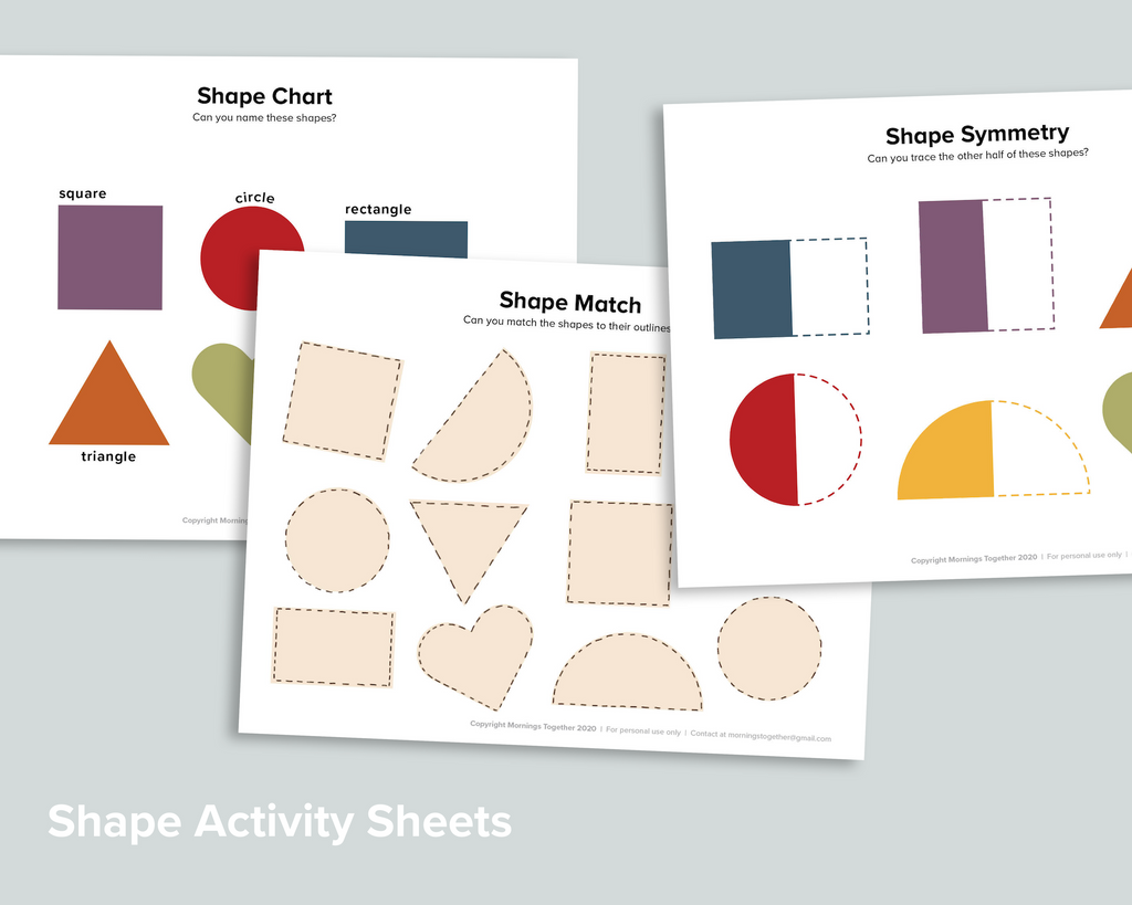 Shape Explorer Set