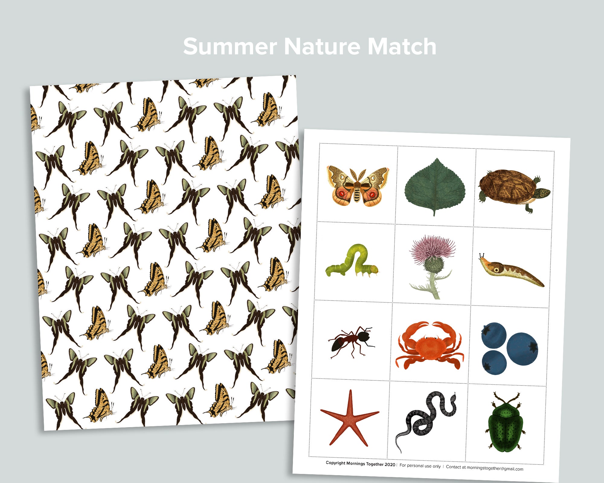 Seasons Matching Cards