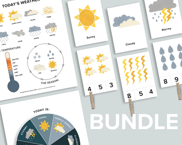 Weather Bundle