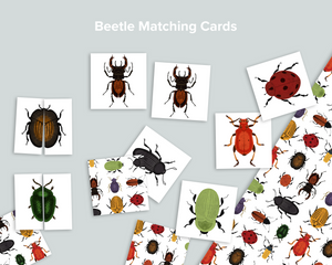 Beetle Matching Cards