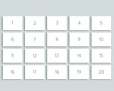 Number Cards 0-20 (Spanish)