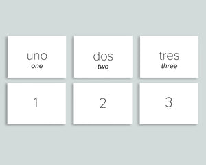 Number Cards 0-20 (Spanish)