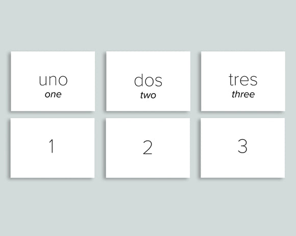 Number Cards 0-20 (Spanish)
