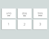 Number Cards 0-20 (Spanish)
