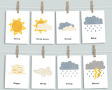 Weather Bundle