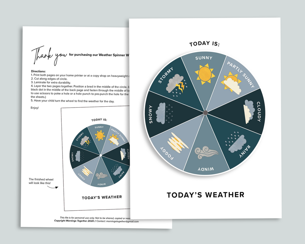 Weather Spinner Wheel