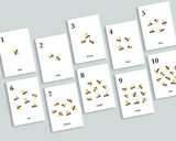 Bee Counting Cards 1-20