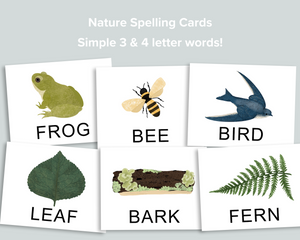 Nature Spelling Cards