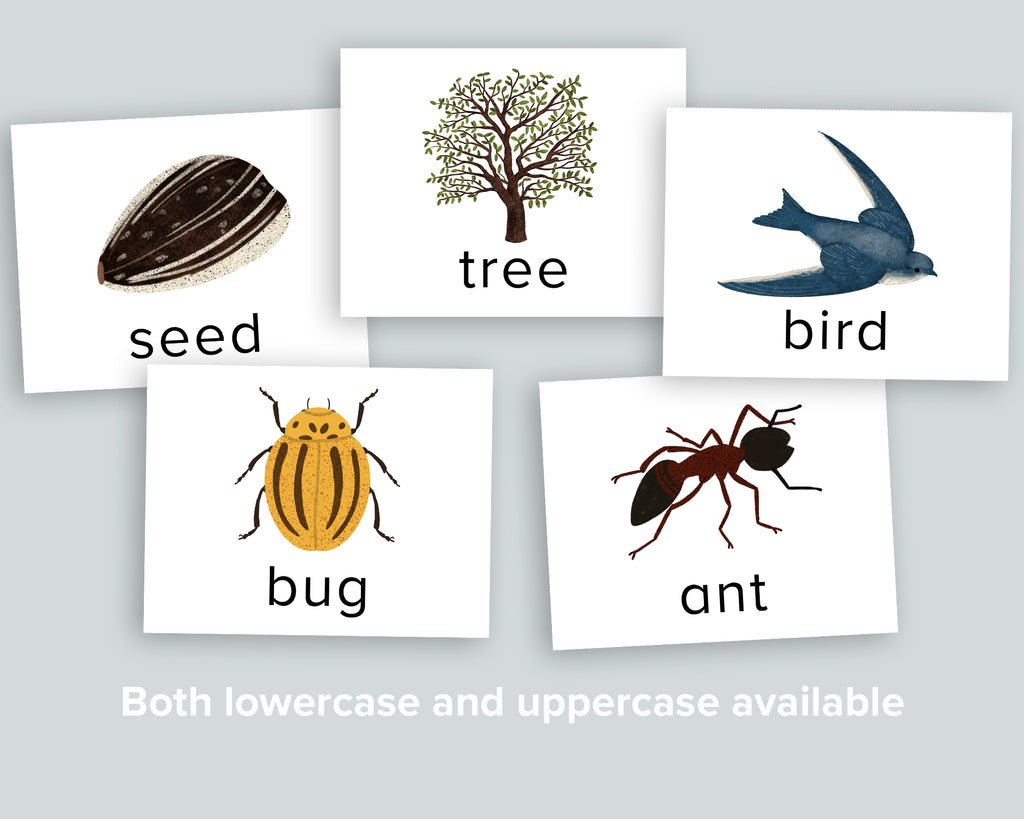 Nature Spelling Cards