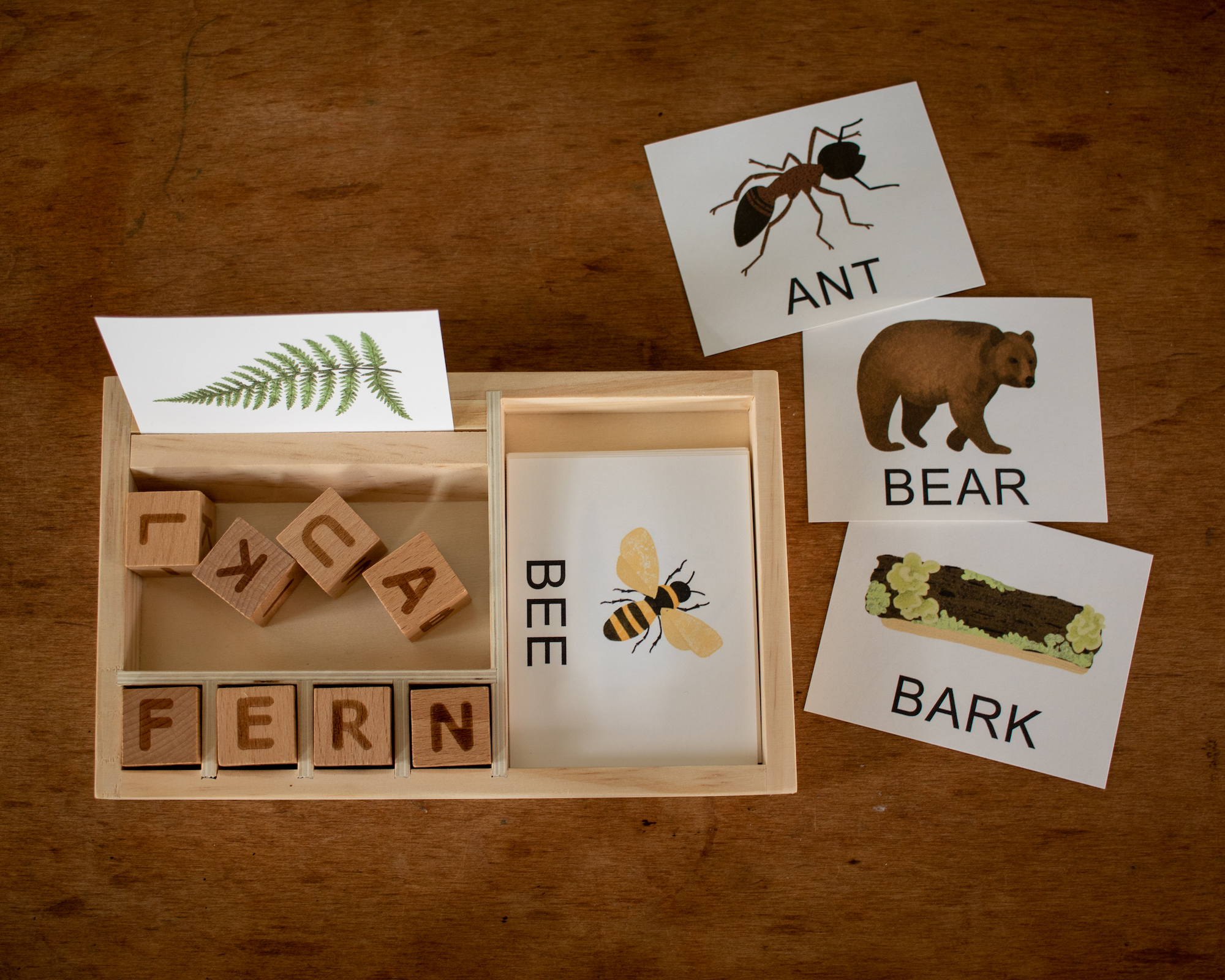 Nature Spelling Cards