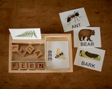 Nature Spelling Cards