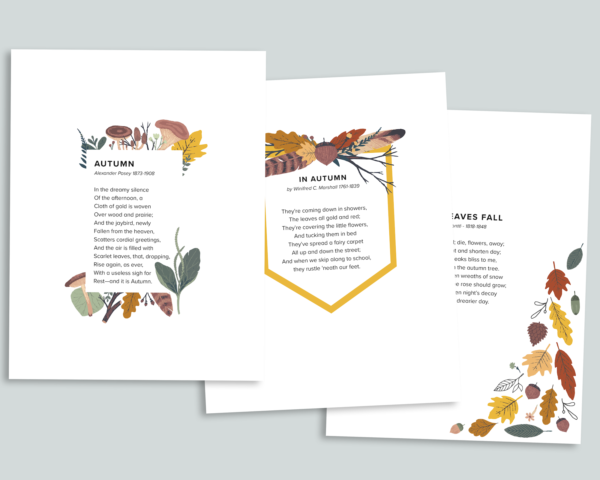 Autumn Bundle